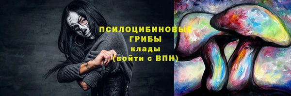 apvp Абинск