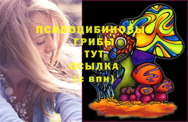 герыч Абаза