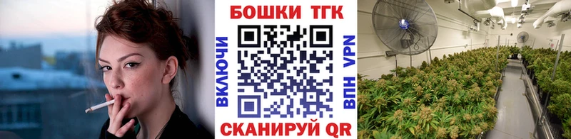 Бошки марихуана Amnesia  Тайга 
